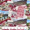 Sykel Enterprises-University of Alabama Cotton Fabric-Alabama Crimson Tide Scenic Map Cotton Quilting Fabric